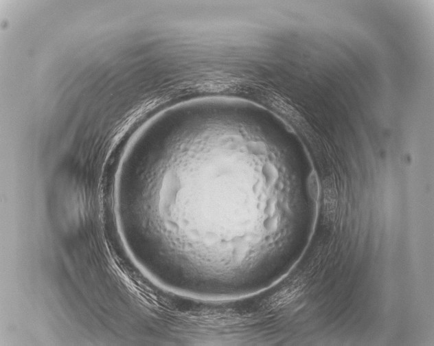 X0000055990626200508261725