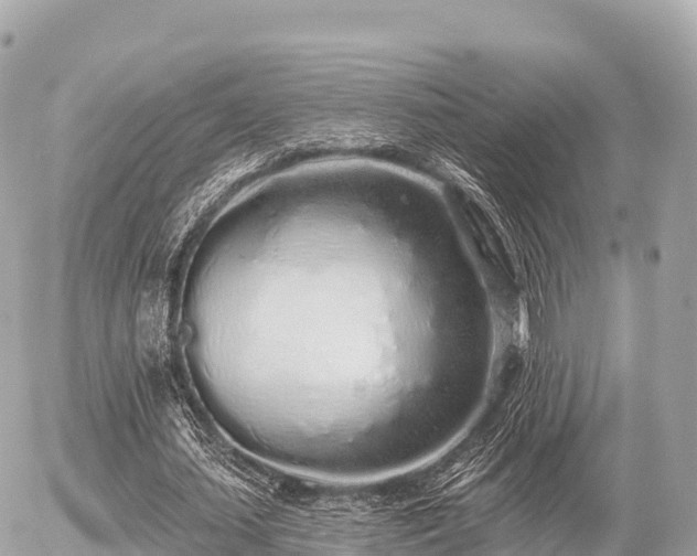 X0000055990627200508261725