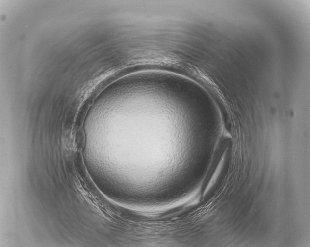 X0000055990628200508261725