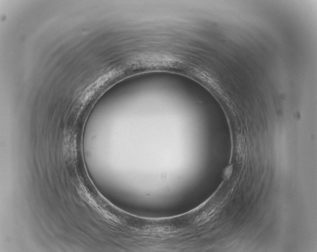 X0000055990629200508261725