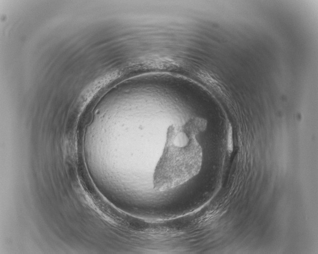 X0000055990630200508261725