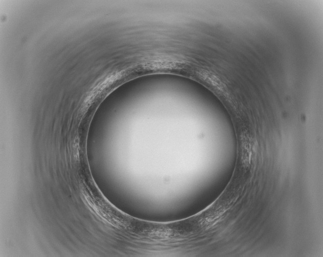 X0000055990631200508261725