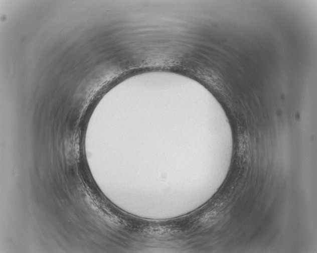 X0000055990632200508261725