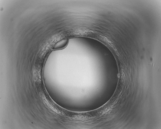 X0000055990633200508261725