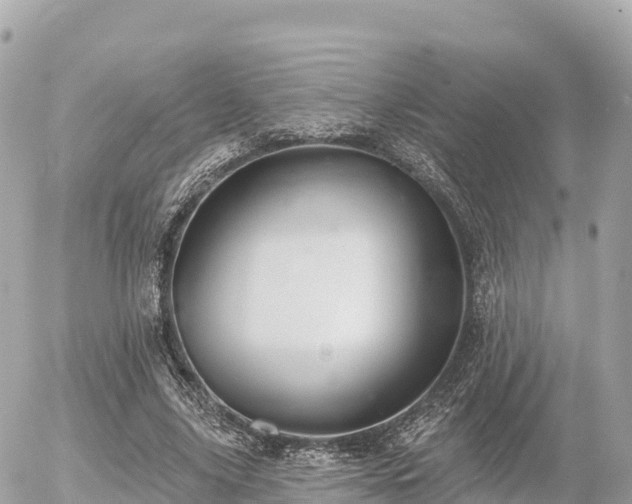 X0000055990635200508261725