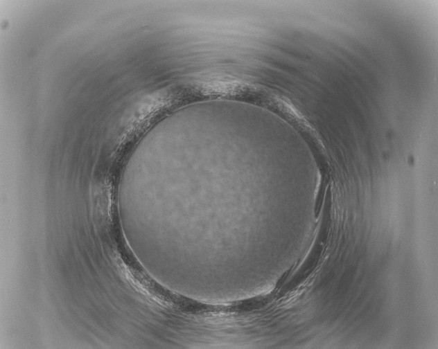 X0000055990637200508261725