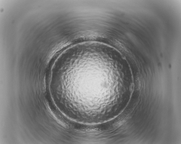 X0000055990638200508261725