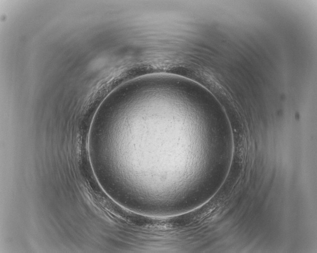 X0000055990639200508261725