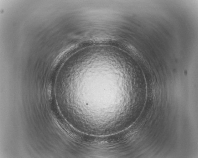 X0000055990640200508261725