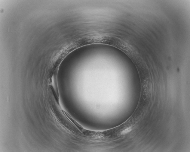 X0000055990642200508261725