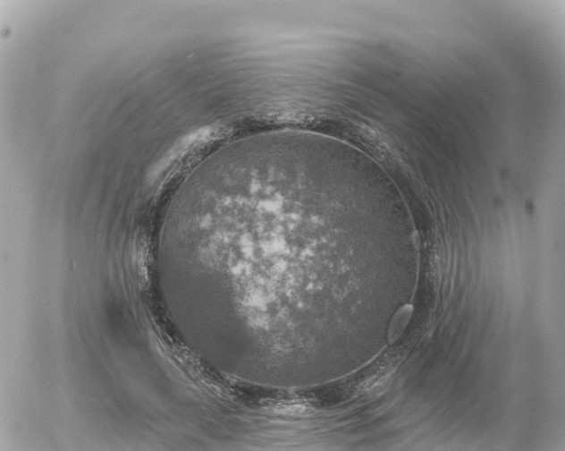 X0000055990643200508261725