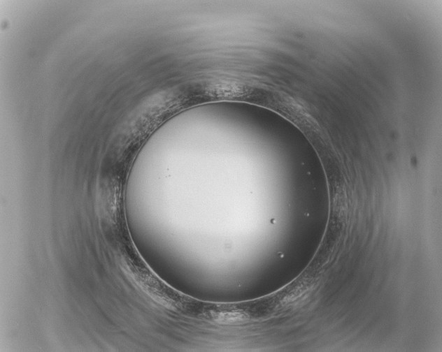 X0000055990645200508261725