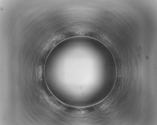 X0000055990646200508261725