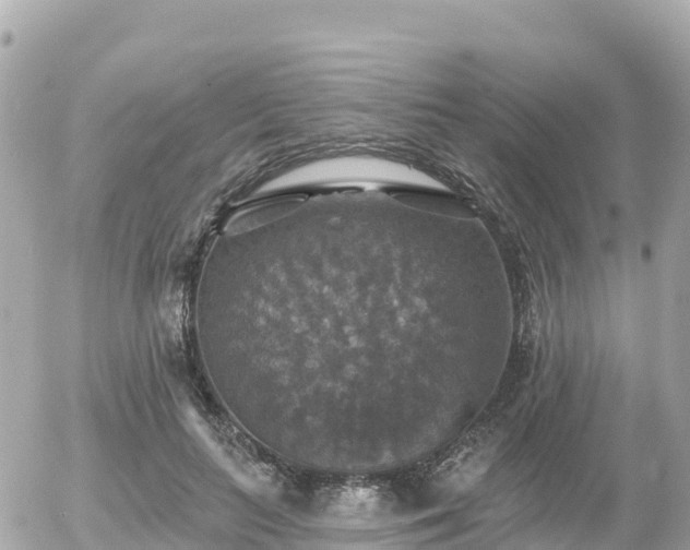 X0000055990647200508261725