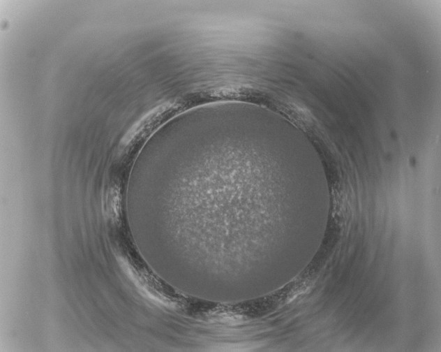 X0000055990648200508261725