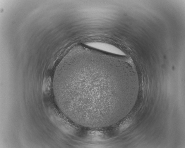 X0000055990649200508261725