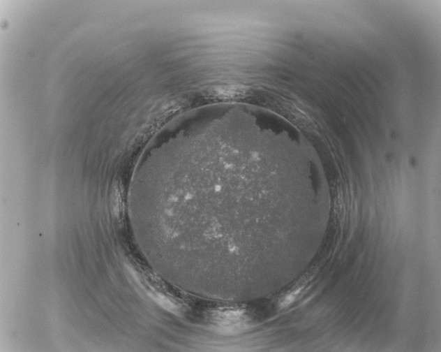 X0000055990651200508261725