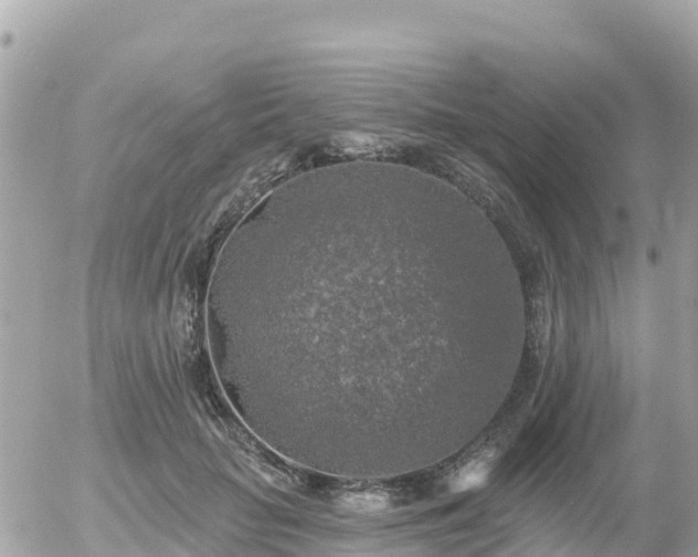 X0000055990653200508261725