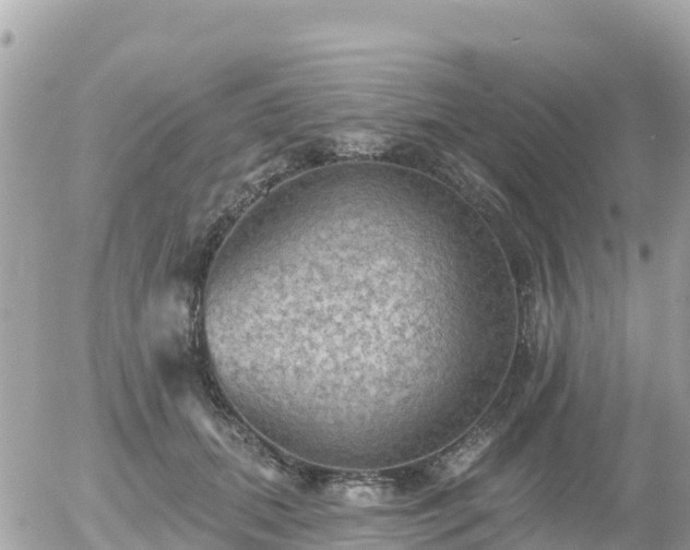 X0000055990655200508261725