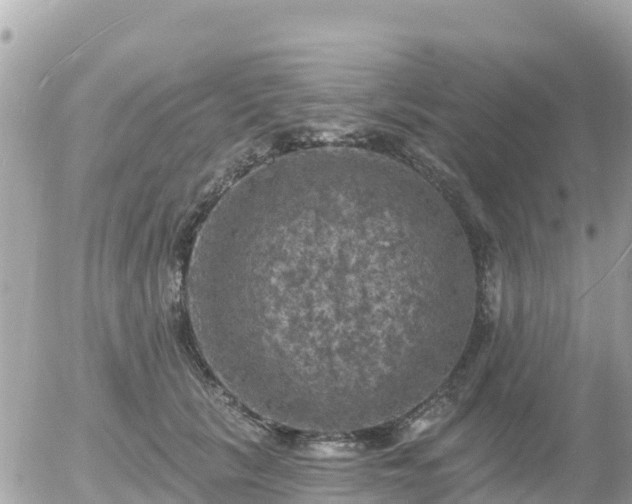 X0000055990657200508261725