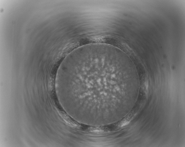 X0000055990658200508261725