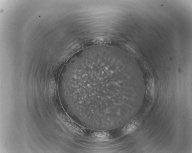 X0000055990659200508261725