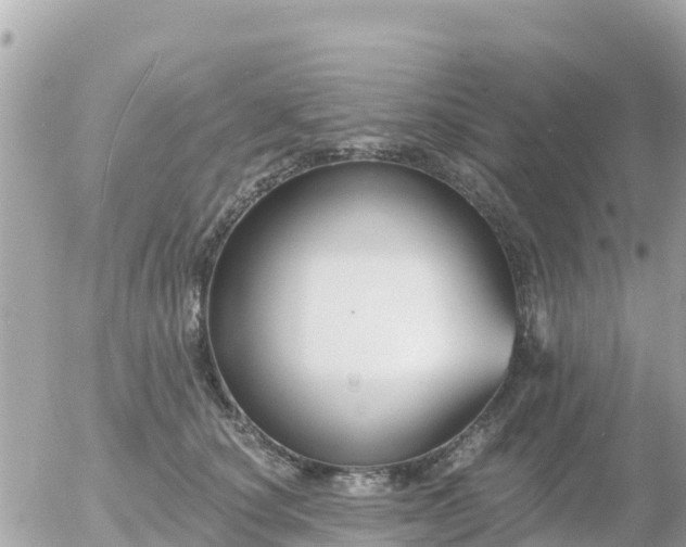 X0000055990660200508261725