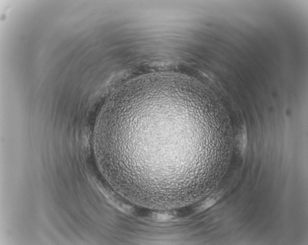 X0000055990662200508261725