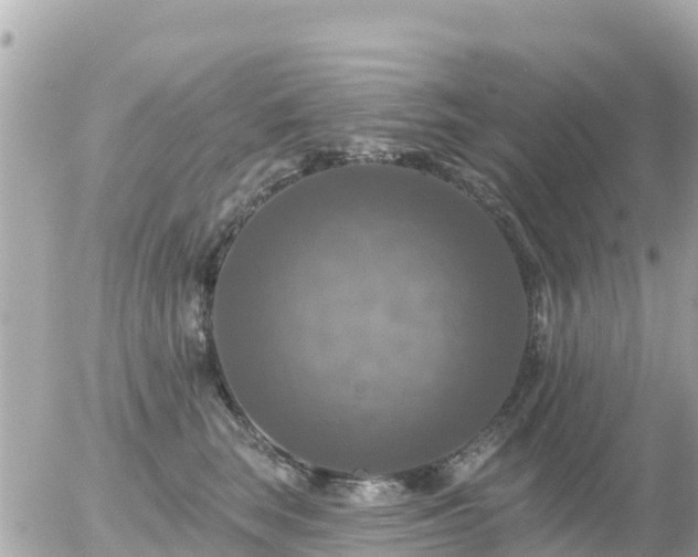 X0000055990663200508261725