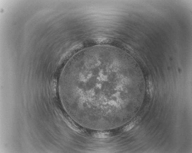 X0000055990664200508261725