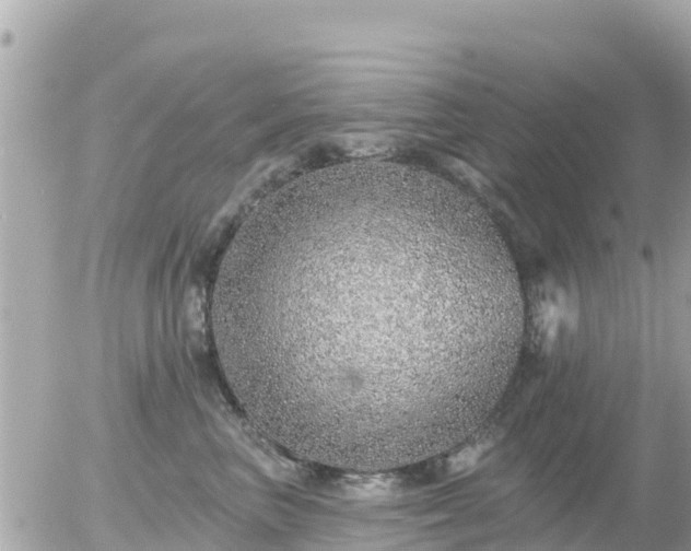 X0000055990667200508261726