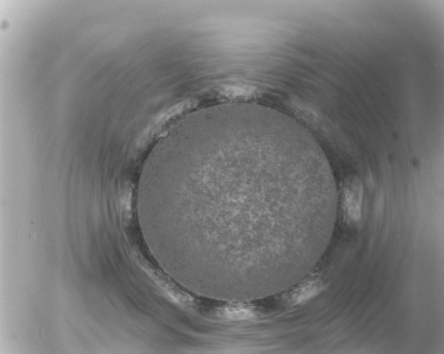 X0000055990668200508261726