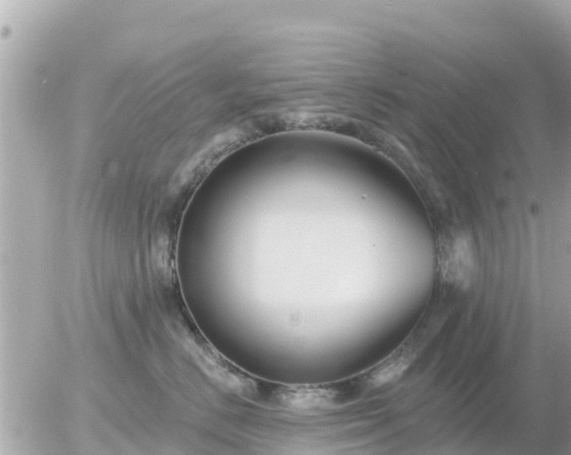 X0000055990670200508261726