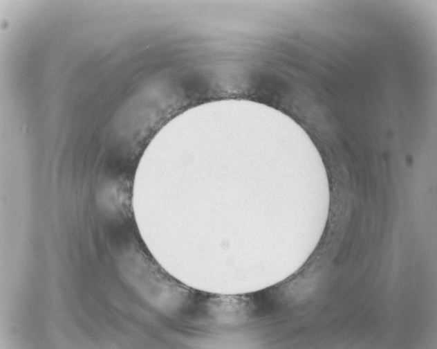 X0000055990672200508261726