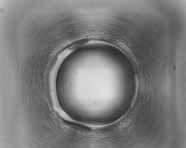 X0000055990673200508261725