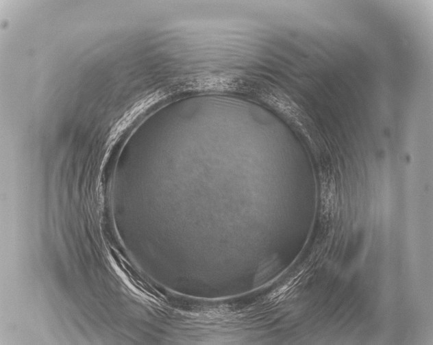 X0000055990674200508261725