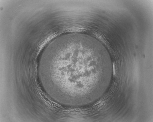 X0000055990675200508261725