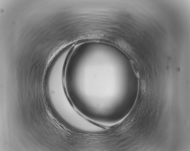 X0000055990676200508261725