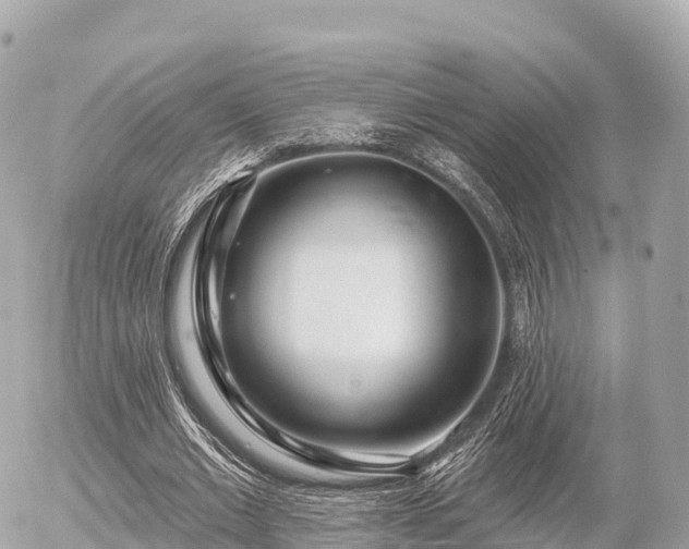 X0000055990677200508261725