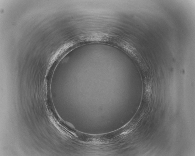 X0000055990678200508261725