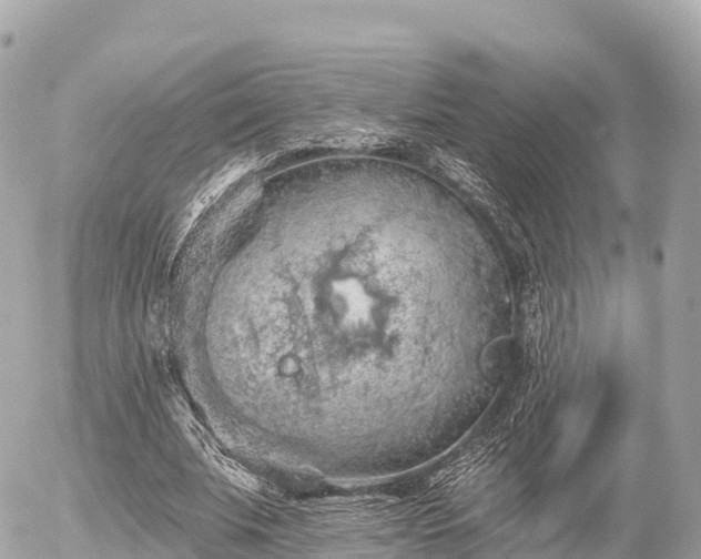 X0000055990679200508261725