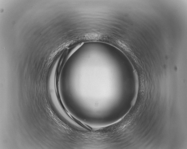 X0000055990681200508261725