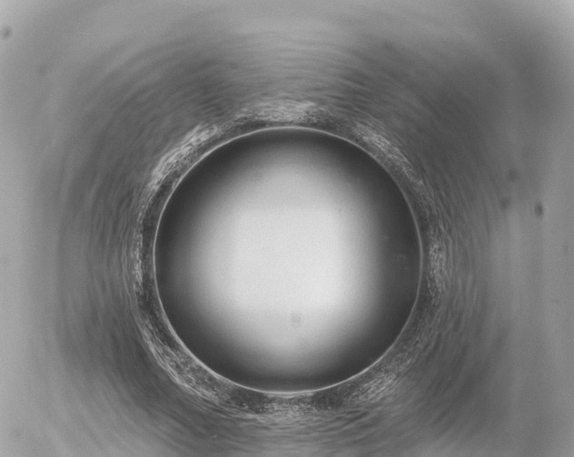 X0000055990682200508261725