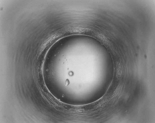 X0000055990683200508261725