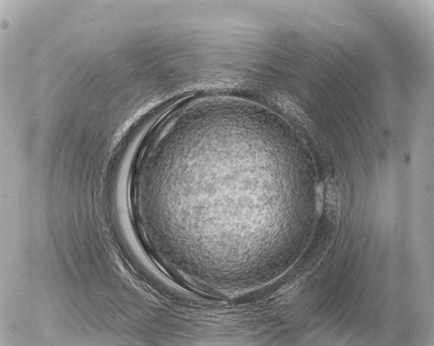 X0000055990684200508261725