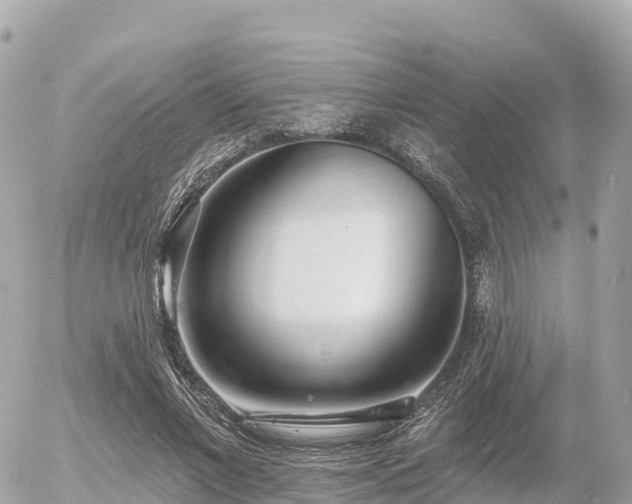 X0000055990685200508261725