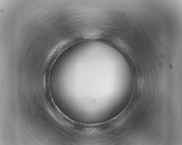 X0000055990686200508261725