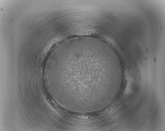 X0000055990687200508261725