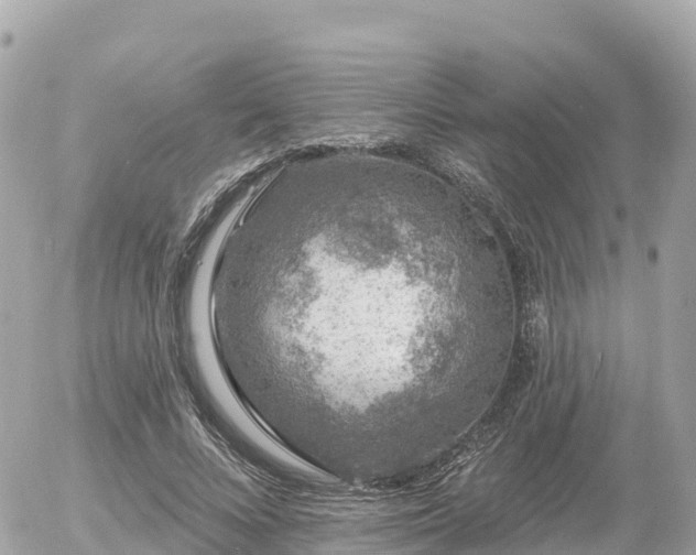 X0000055990688200508261725