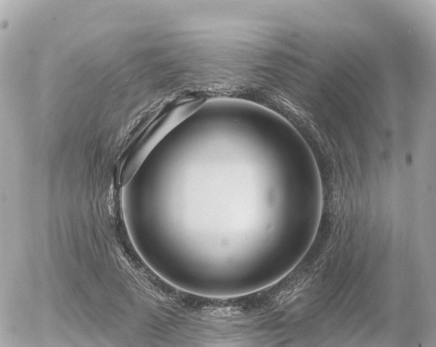 X0000055990689200508261725